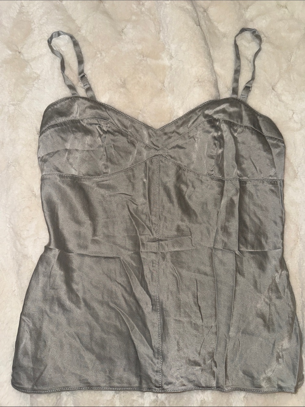 Express Silver Silk Bustier Cami
